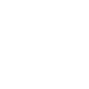 Thechronicles Logo