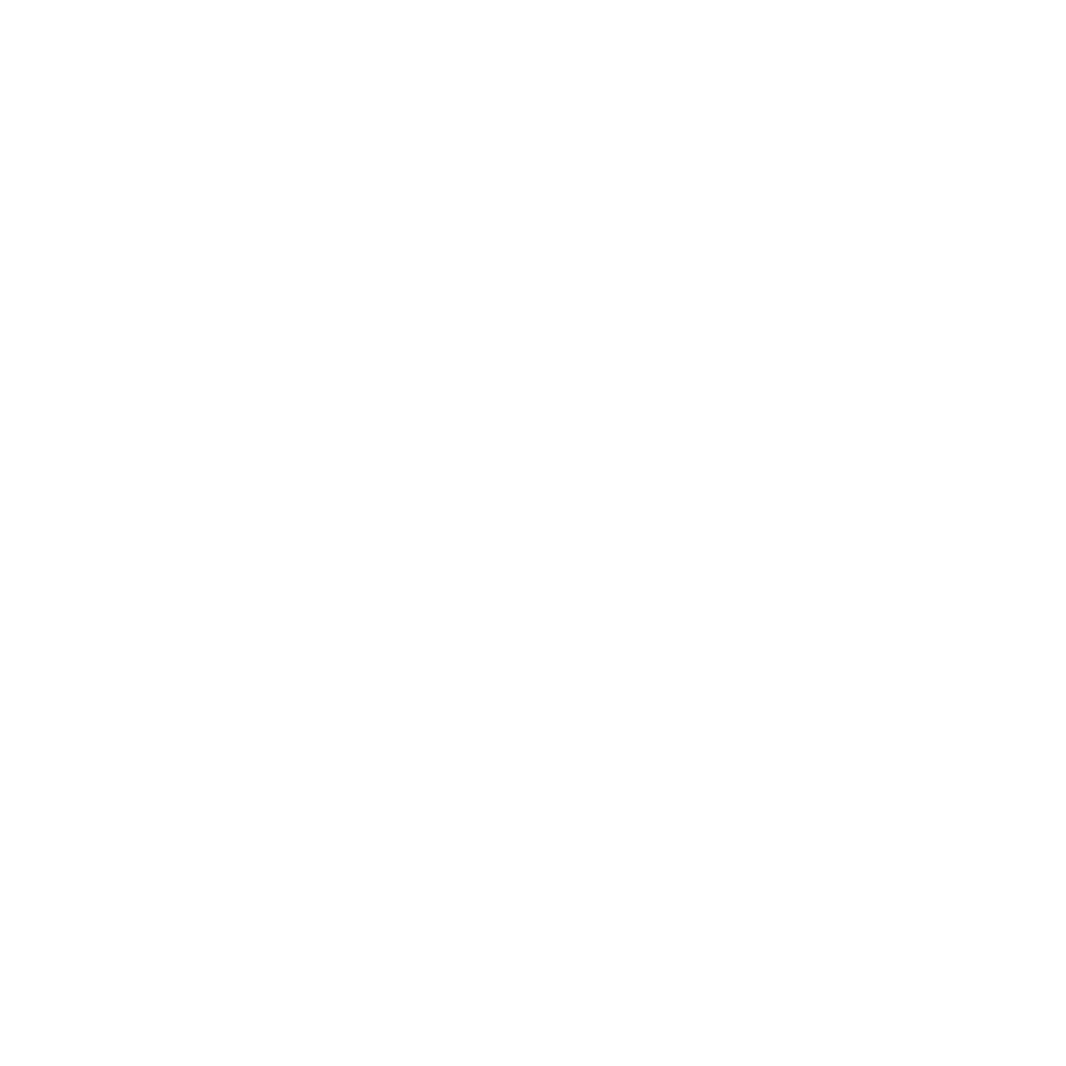 Thechronicles white logo